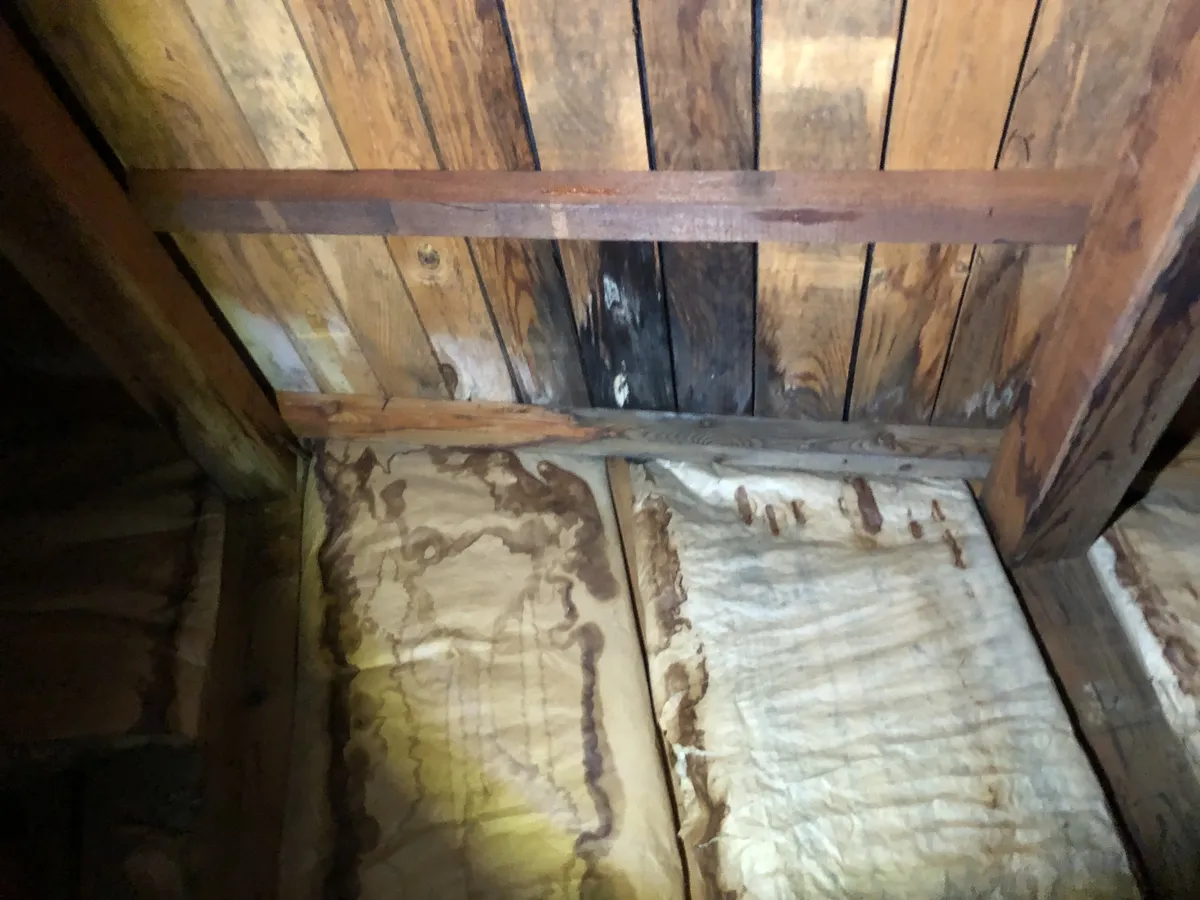 屋根の内側の木の下地。古い板に水の染みのような跡がある。